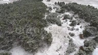 鸟瞰冬季松林.. 冬季航空摄影