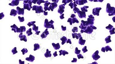 水彩。 水彩紫罗兰落在白色背景上。 以水彩为背景的蓝色抽象水墨画