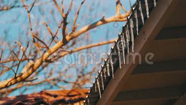 冬天的冰柱在春天的阳光下融化在屋顶上，从它们的<strong>提示</strong>中<strong>滴</strong>落下来