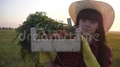 女孩红脖子农夫。 农业收获生态农业一个概念慢动作视频。 快乐的女孩在收割散步