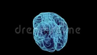 旋转X射线人脑。 黑色背景上的三维球体无缝环。 医学概念。