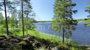美丽的自然景观湖景，蓝天背景上有绿色的高大树木。 瑞典，欧洲。