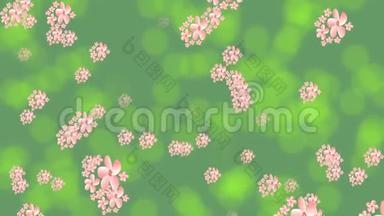 在绿色背景上飞舞的粉红色花朵，波克灯反射，动画标题<strong>你好春天</strong>。 美丽美丽