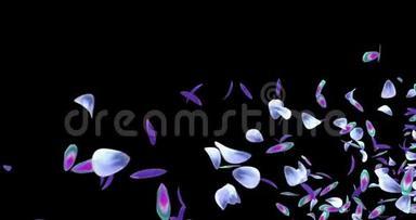 飞行浪漫蓝紫兰花花瓣占位符阿尔法哑光环4k