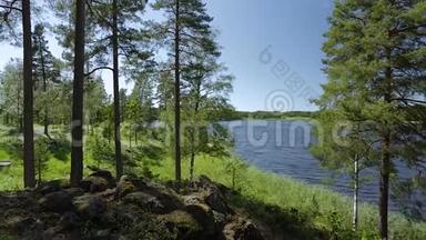 透过<strong>高大</strong>的<strong>树木</strong>欣赏美丽的湖景。 绚丽的自然景观背景.. 瑞典，