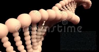 分析DNA结构，法医研究，基因和遗传病，科学。 DNA分子