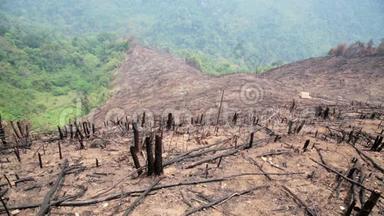 砍伐森林，森林火<strong>灾后</strong>，自然灾害.