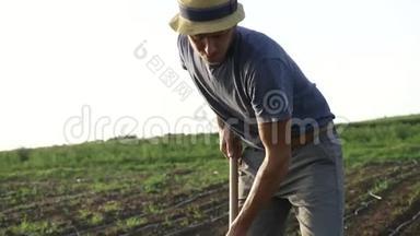 农民在有机生态场用锄头除杂草，幼长