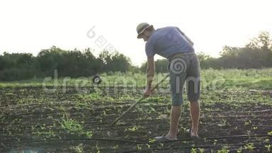 农民在有机生态场用锄头除杂草，幼长