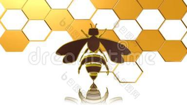 蜜蜂，图标，标志，最佳三维插图，最佳动画