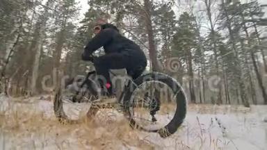 职业极限运动员骑自行车在户外坐一辆胖自行车。 骑自行车者在冬天的雪林中退缩。 与人同行