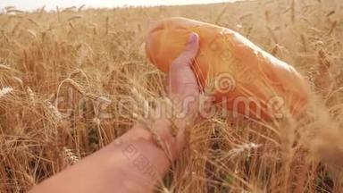 农夫持面包第一人称观。 男人在麦田里拿着一条面包。 慢动作视频。 成功成功成功