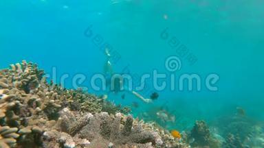 年轻人带着五颜六色的鱼和<strong>海洋生物</strong>在深<strong>蓝色</strong>的海洋中探索水下珊瑚礁景观