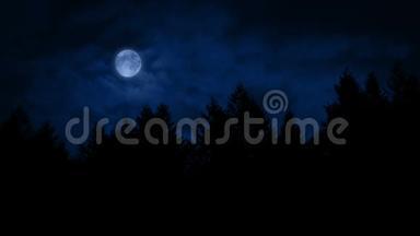 月亮在森林之上的夜晚
