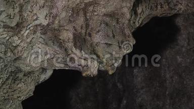 罗马尼亚波洛瓦吉洞穴的内部