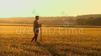 农夫拿着铲子走在田野上。 他们携带种植树木的设备。 在日落的时候。 侧视图