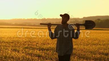农夫拿着铲子走在田野上。 他们携带种<strong>植树</strong>木的设备。 在日落的时候。 侧视图