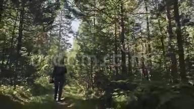 <strong>游客</strong>在<strong>森林</strong>中拍摄风景。 一个白种人的女人拍摄漂亮的魔术外观。 女孩拍照视频