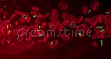 红细胞在靠近病毒和细菌的动脉中运动，在体内流动，人体保健