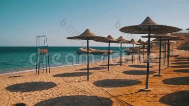 埃及，带雨伞的空阳光海滩，红海上的阳光床