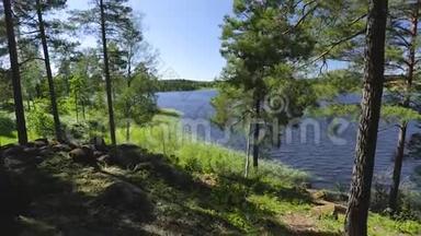 透过高大的树木欣赏美丽的湖景。 <strong>绚丽</strong>的自然景观背景.. 瑞典，