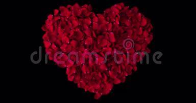 红色心形的玫瑰花瓣在黑色背景的漩涡中流动，带有阿尔法通道的光，爱和情人节假期