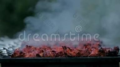 在火上烹调的美味肉