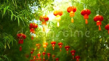 一排排中国传统风格的红灯笼挂在竹树隧道拱上。