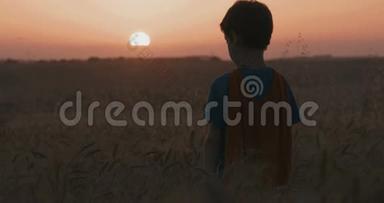 日落时分，穿着超级英雄斗篷的小男孩站在金色麦田里
