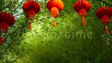 一排排中国传统风格的红灯笼挂在竹树隧道拱上。