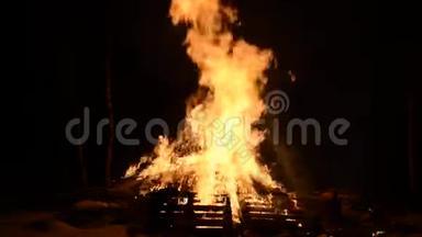 冬夜白桦林中大量篝火