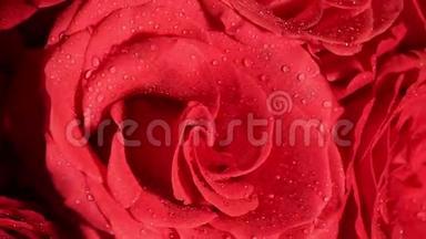 美丽的红<strong>玫瑰花束</strong>被旋转