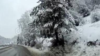 冬天，山上空无一人的旁边是白雪覆盖的树木。