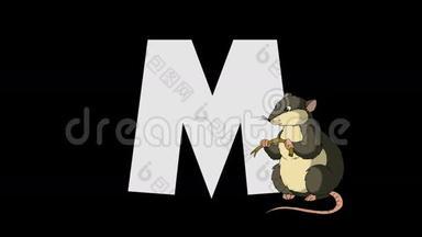 字母M和鼠标（前景）