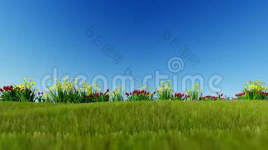 蓝天上绿色草地上的复活节彩蛋，镶面，Luma Matte