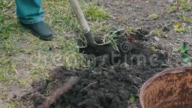 那个拿着铲子在花园里<strong>挖洞</strong>的人