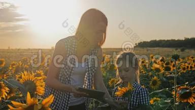 一个家庭农民，田里有一块平板电脑。 美丽的女农民和她美丽的女儿谈论向日葵在
