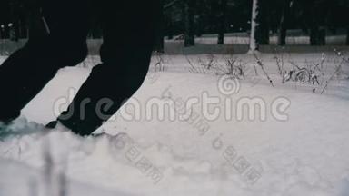 在雪日漫步在冬林的深雪中。 慢动作