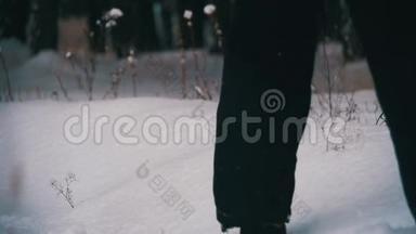 在雪<strong>日漫</strong>步在冬林的深雪中。 慢动作