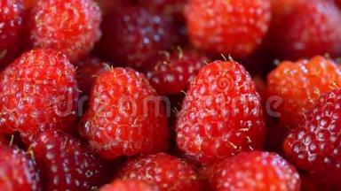 新鲜树莓水果作为食物背景.. 健康食品有机营养.. 从上面看。