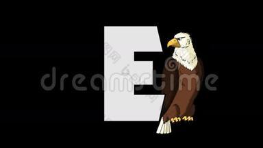 字母E和鹰（背景）