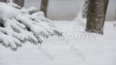 冬天在森林里<strong>下雪</strong>，柔和的圣诞节早晨<strong>下雪</strong>