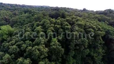 空中飞机飞行时从高空俯瞰绿色森林树梢