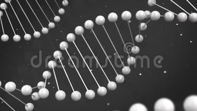 黑色背景DNA链的光白模型