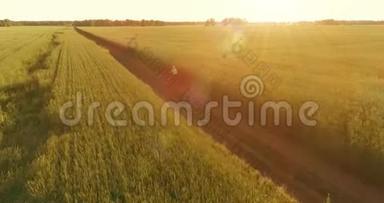 鸟瞰年轻男孩，骑着自行车穿过古老的乡村道路上的麦田。 阳光和光束。