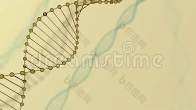 具有景深的抽象蓝色闪闪发光的<strong>DNA双螺旋</strong>.. debrises三维渲染的<strong>DNA</strong>构建动画