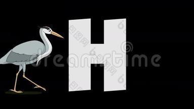 字母H和Heron（前景）