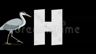 字母H和Heron（背景）