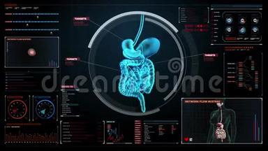 变焦身体扫描内脏器，数字显示中的消化系统。 蓝色X射线视图。
