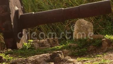 牙买加18世纪蒙特哥湾渡槽旁的古齿轮